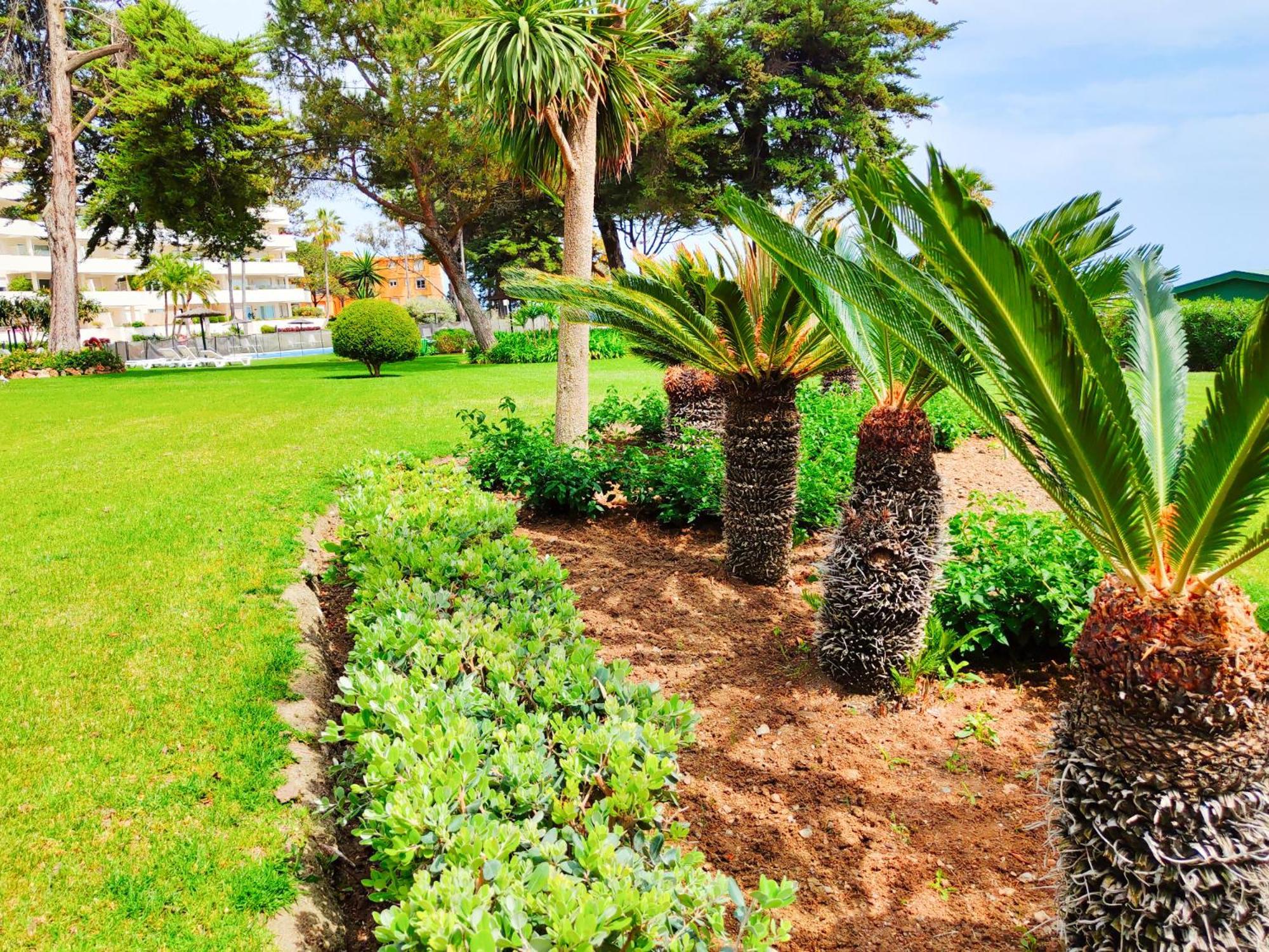 Luxury Frontline Residence Ehhouse Estepona Dış mekan fotoğraf